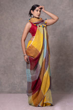 Woman wearing a colorful saree with a red blouse against a gray background