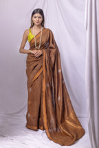 Woman wearing a brown saree with a yellow blouse against a white background